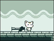 A Kitty Dream