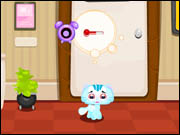 Animal Hospital