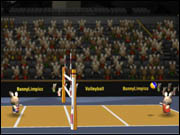 Bunnylimpics Volleyball