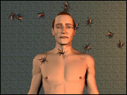 Cockroach Dream
