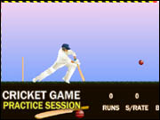 Cricket Game