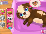 Cute Baby Puppy Care