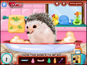 Cute Hedgehog