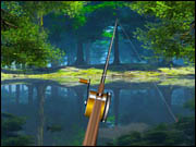 Forest Lake Fishing
