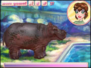 My Cool Hippo