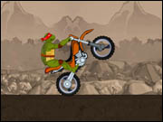 Ninja Turtle Stunts