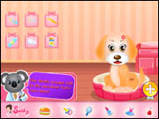 Puppy Care