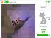 Repixel Find a Cat