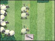 Sheep Dash