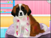 St Bernard Puppy Day Care