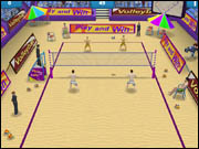 Summer Sports Beach Volleyball