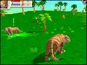 Tiger Simulation