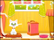 Virtual Cat