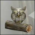 Cute Owl 2