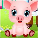 My Pet Doctor Baby Piggy