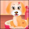 Puppy Care