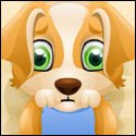 Puppy Surgery