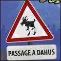 The Search for the Dahu