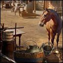 Western Honeymoon